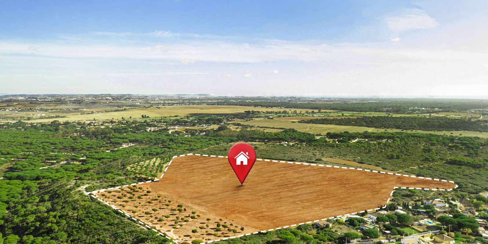 Land Reform